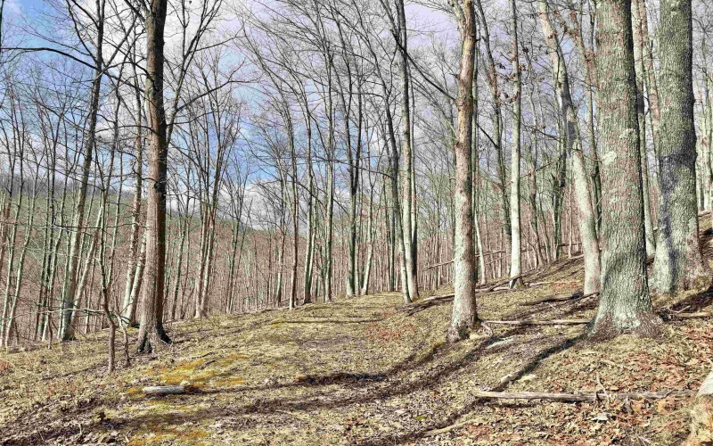 3938 Saint Clara Road, Alum Bridge, West Virginia 26321, 4 Bedrooms Bedrooms, 7 Rooms Rooms,2 BathroomsBathrooms,Single Family Detached,For Sale,Saint Clara,10163370