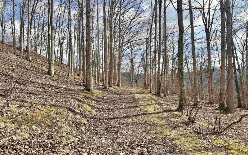 3938 Saint Clara Road, Alum Bridge, West Virginia 26321, 4 Bedrooms Bedrooms, 7 Rooms Rooms,2 BathroomsBathrooms,Single Family Detached,For Sale,Saint Clara,10163370