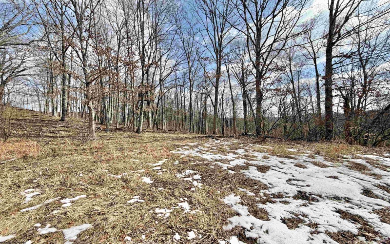 3938 Saint Clara Road, Alum Bridge, West Virginia 26321, 4 Bedrooms Bedrooms, 7 Rooms Rooms,2 BathroomsBathrooms,Single Family Detached,For Sale,Saint Clara,10163370