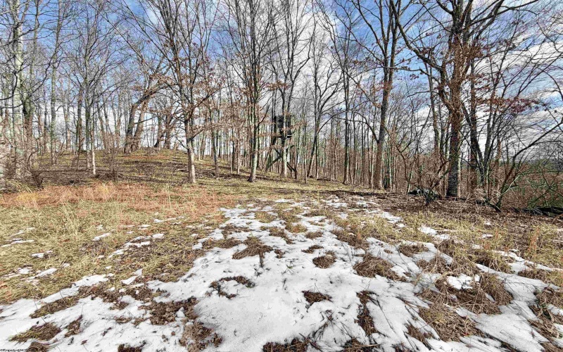 3938 Saint Clara Road, Alum Bridge, West Virginia 26321, 4 Bedrooms Bedrooms, 7 Rooms Rooms,2 BathroomsBathrooms,Single Family Detached,For Sale,Saint Clara,10163370