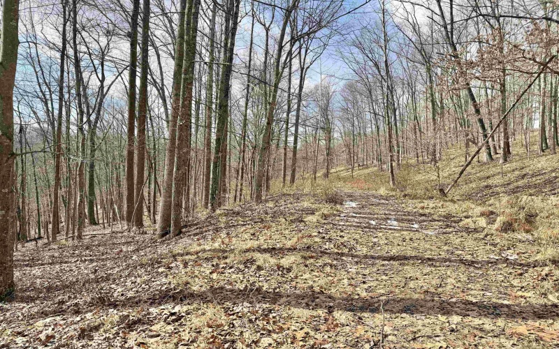 3938 Saint Clara Road, Alum Bridge, West Virginia 26321, 4 Bedrooms Bedrooms, 7 Rooms Rooms,2 BathroomsBathrooms,Single Family Detached,For Sale,Saint Clara,10163370