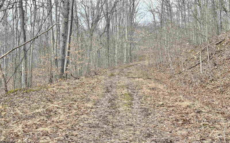 3938 Saint Clara Road, Alum Bridge, West Virginia 26321, 4 Bedrooms Bedrooms, 7 Rooms Rooms,2 BathroomsBathrooms,Single Family Detached,For Sale,Saint Clara,10163370