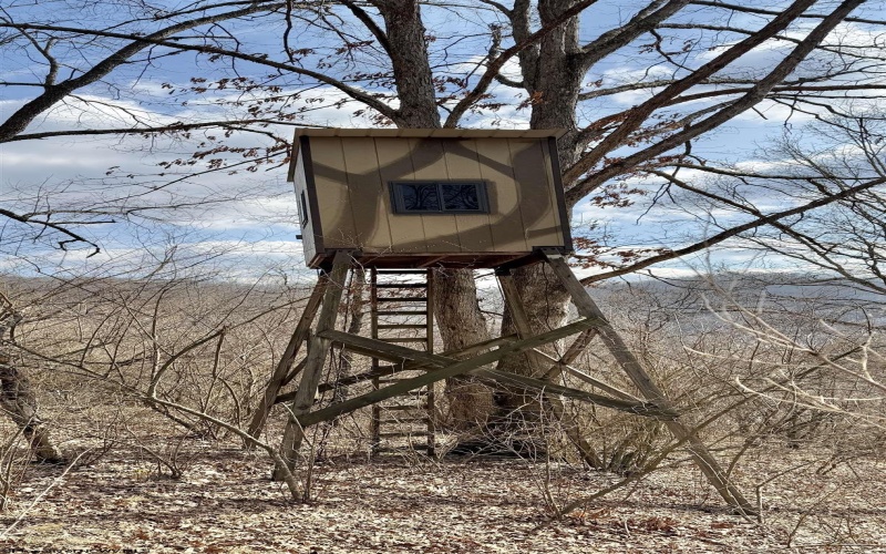 3938 Saint Clara Road, Alum Bridge, West Virginia 26321, 4 Bedrooms Bedrooms, 7 Rooms Rooms,2 BathroomsBathrooms,Single Family Detached,For Sale,Saint Clara,10163370