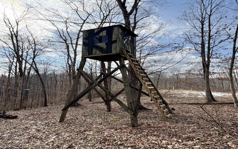 3938 Saint Clara Road, Alum Bridge, West Virginia 26321, 4 Bedrooms Bedrooms, 7 Rooms Rooms,2 BathroomsBathrooms,Single Family Detached,For Sale,Saint Clara,10163370