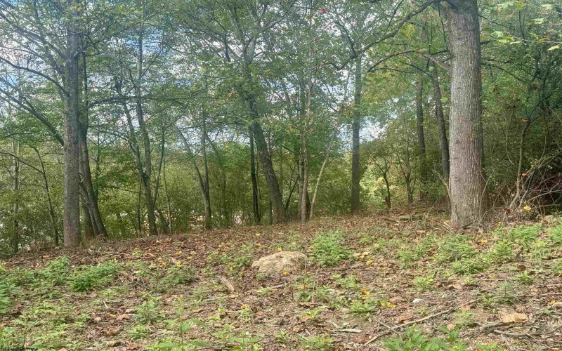 TBD Johnson Avenue, Bridgeport, West Virginia 26330, ,Lots/land,For Sale,Johnson,10161692