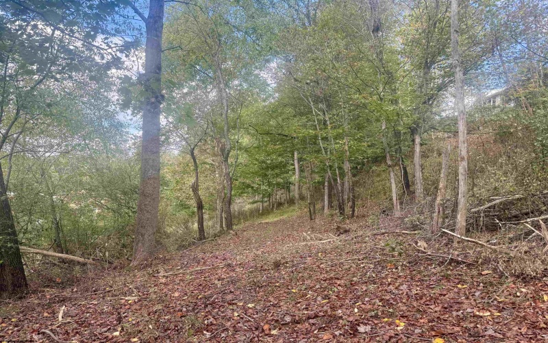 TBD Johnson Avenue, Bridgeport, West Virginia 26330, ,Lots/land,For Sale,Johnson,10161692