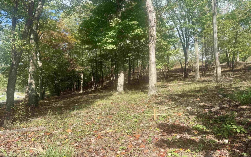 TBD Johnson Avenue, Bridgeport, West Virginia 26330, ,Lots/land,For Sale,Johnson,10161692