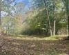 TBD Johnson Avenue, Bridgeport, West Virginia 26330, ,Lots/land,For Sale,Johnson,10161692