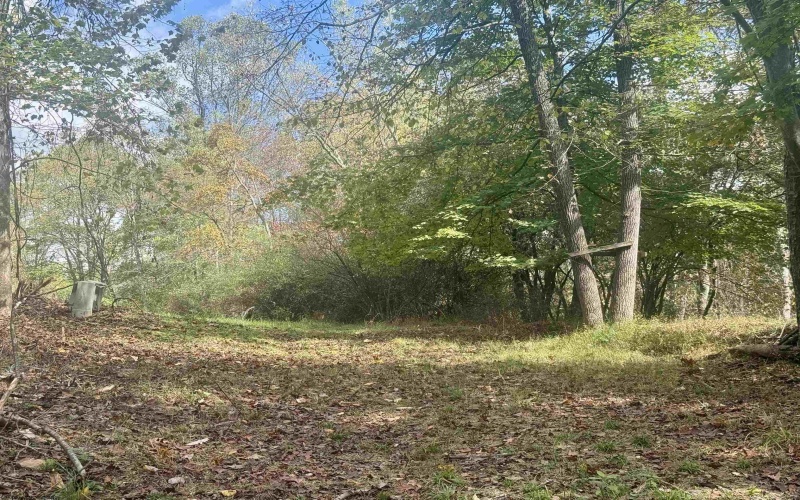 TBD Johnson Avenue, Bridgeport, West Virginia 26330, ,Lots/land,For Sale,Johnson,10161692