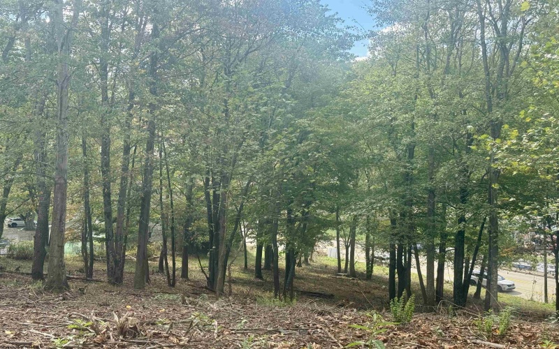 TBD Johnson Avenue, Bridgeport, West Virginia 26330, ,Lots/land,For Sale,Johnson,10161692