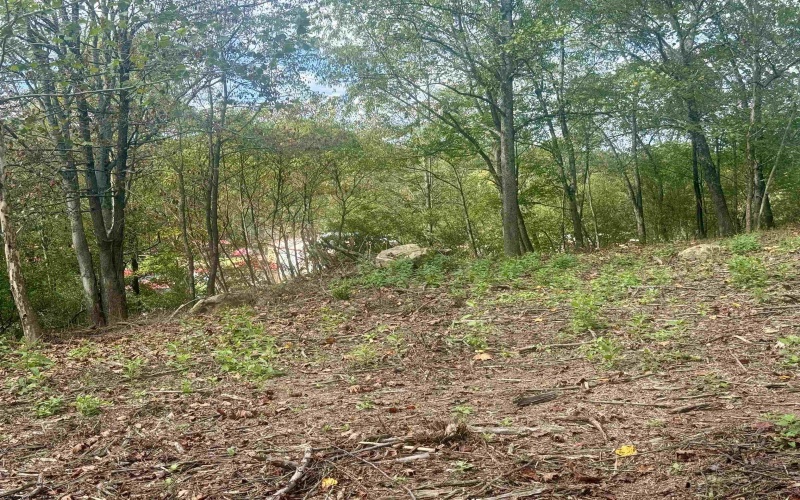 TBD Johnson Avenue, Bridgeport, West Virginia 26330, ,Lots/land,For Sale,Johnson,10161692