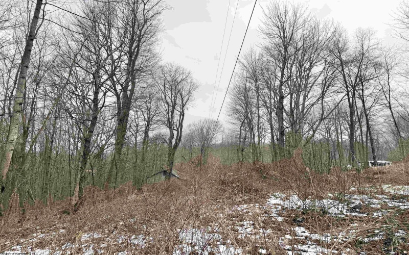 108 Kennedy Road, Moatsville, West Virginia 26405, ,Lots/land,For Sale,Kennedy,10163381