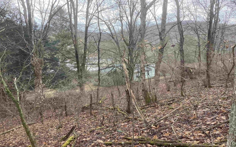 7917 Barbour County Highway, Belington, West Virginia 26250, 3 Bedrooms Bedrooms, 6 Rooms Rooms,1 BathroomBathrooms,Single Family Detached,For Sale,Barbour County,10163402 7917 Barbour County Highway, Belington, West Virginia 26250, 3 Bedrooms Bedrooms, 6 Rooms Rooms,1 BathroomBathrooms,Single Family Detached,For Sale,Barbour County,10163402