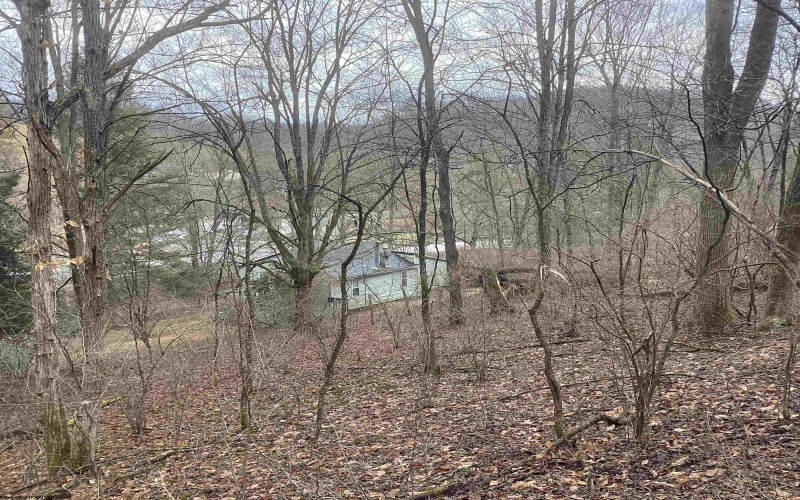 7917 Barbour County Highway, Belington, West Virginia 26250, 3 Bedrooms Bedrooms, 6 Rooms Rooms,1 BathroomBathrooms,Single Family Detached,For Sale,Barbour County,10163402 7917 Barbour County Highway, Belington, West Virginia 26250, 3 Bedrooms Bedrooms, 6 Rooms Rooms,1 BathroomBathrooms,Single Family Detached,For Sale,Barbour County,10163402