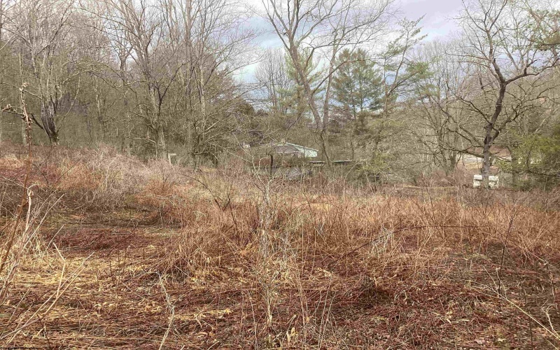 7917 Barbour County Highway, Belington, West Virginia 26250, 3 Bedrooms Bedrooms, 6 Rooms Rooms,1 BathroomBathrooms,Single Family Detached,For Sale,Barbour County,10163402 7917 Barbour County Highway, Belington, West Virginia 26250, 3 Bedrooms Bedrooms, 6 Rooms Rooms,1 BathroomBathrooms,Single Family Detached,For Sale,Barbour County,10163402