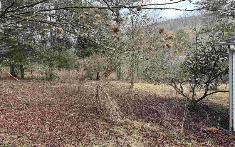 7917 Barbour County Highway, Belington, West Virginia 26250, 3 Bedrooms Bedrooms, 6 Rooms Rooms,1 BathroomBathrooms,Single Family Detached,For Sale,Barbour County,10163402 7917 Barbour County Highway, Belington, West Virginia 26250, 3 Bedrooms Bedrooms, 6 Rooms Rooms,1 BathroomBathrooms,Single Family Detached,For Sale,Barbour County,10163402