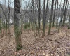 TBD Elliott Avenue, Belington, West Virginia 26250, ,Lots/land,For Sale,Elliott,10163404