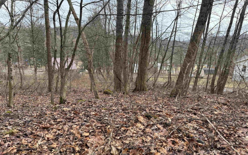 TBD Elliott Avenue, Belington, West Virginia 26250, ,Lots/land,For Sale,Elliott,10163404