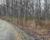TBD Elliott Avenue, Belington, West Virginia 26250, ,Lots/land,For Sale,Elliott,10163404
