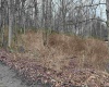 TBD Elliott Avenue, Belington, West Virginia 26250, ,Lots/land,For Sale,Elliott,10163404