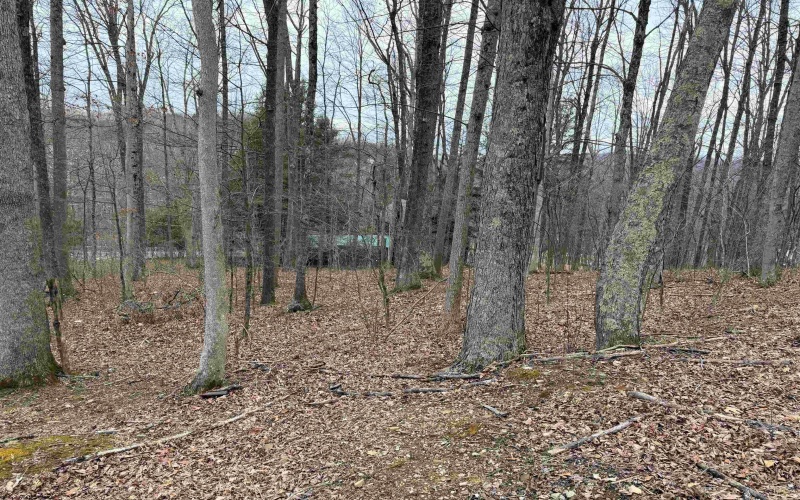 TBD Elliott Avenue, Belington, West Virginia 26250, ,Lots/land,For Sale,Elliott,10163404