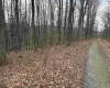TBD Elliott Avenue, Belington, West Virginia 26250, ,Lots/land,For Sale,Elliott,10163404