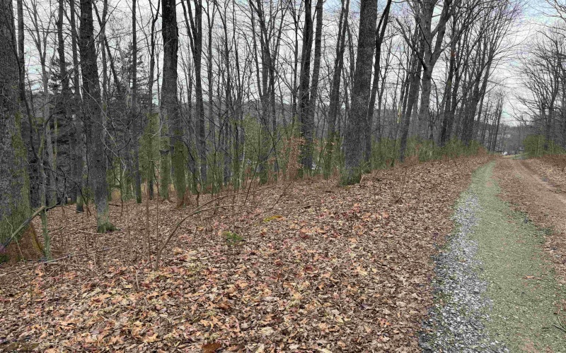 TBD Elliott Avenue, Belington, West Virginia 26250, ,Lots/land,For Sale,Elliott,10163404