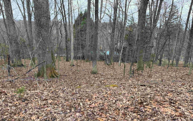 TBD Elliott Avenue, Belington, West Virginia 26250, ,Lots/land,For Sale,Elliott,10163404