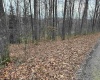 TBD Elliott Avenue, Belington, West Virginia 26250, ,Lots/land,For Sale,Elliott,10163404