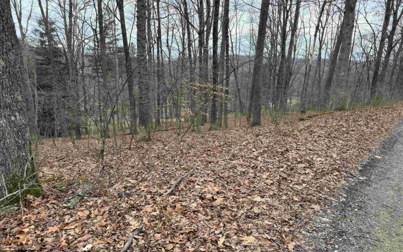 TBD Elliott Avenue, Belington, West Virginia 26250, ,Lots/land,For Sale,Elliott,10163404