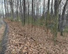 TBD Elliott Avenue, Belington, West Virginia 26250, ,Lots/land,For Sale,Elliott,10163404