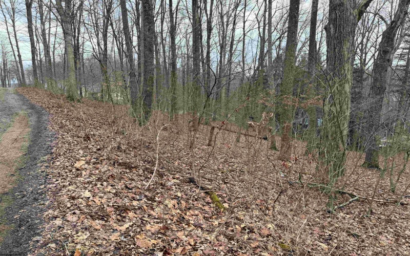 TBD Elliott Avenue, Belington, West Virginia 26250, ,Lots/land,For Sale,Elliott,10163404