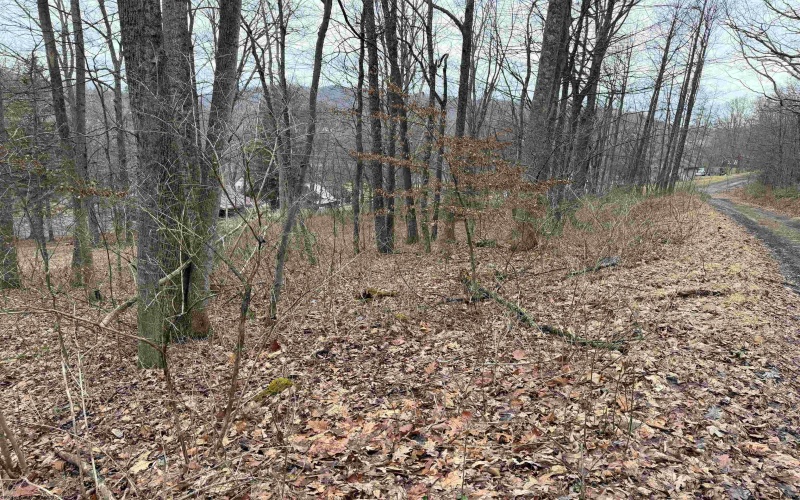 TBD Elliott Avenue, Belington, West Virginia 26250, ,Lots/land,For Sale,Elliott,10163404
