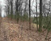 TBD Elliott Avenue, Belington, West Virginia 26250, ,Lots/land,For Sale,Elliott,10163404