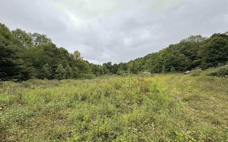LOT D Jettsville Road, Fenwick, West Virginia 26202, ,Lots/land,For Sale,Jettsville,10162886 LOT D Jettsville Road, Fenwick, West Virginia 26202, ,Lots/land,For Sale,Jettsville,10162886