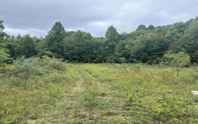 LOT D Jettsville Road, Fenwick, West Virginia 26202, ,Lots/land,For Sale,Jettsville,10162886 LOT D Jettsville Road, Fenwick, West Virginia 26202, ,Lots/land,For Sale,Jettsville,10162886