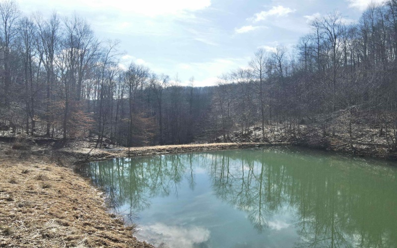 LOT A Heaston Ridge Road, Crawford, West Virginia 26343, ,Lots/land,For Sale,Heaston Ridge,10158119 LOT A Heaston Ridge Road, Crawford, West Virginia 26343, ,Lots/land,For Sale,Heaston Ridge,10158119