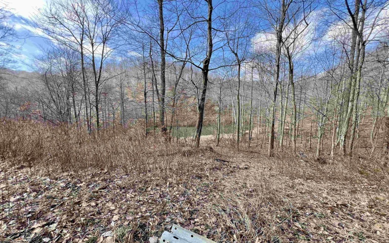 LOT A Heaston Ridge Road, Crawford, West Virginia 26343, ,Lots/land,For Sale,Heaston Ridge,10158119 LOT A Heaston Ridge Road, Crawford, West Virginia 26343, ,Lots/land,For Sale,Heaston Ridge,10158119