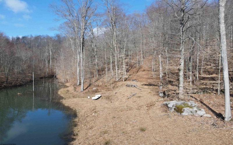 LOT A Heaston Ridge Road, Crawford, West Virginia 26343, ,Lots/land,For Sale,Heaston Ridge,10158119 LOT A Heaston Ridge Road, Crawford, West Virginia 26343, ,Lots/land,For Sale,Heaston Ridge,10158119