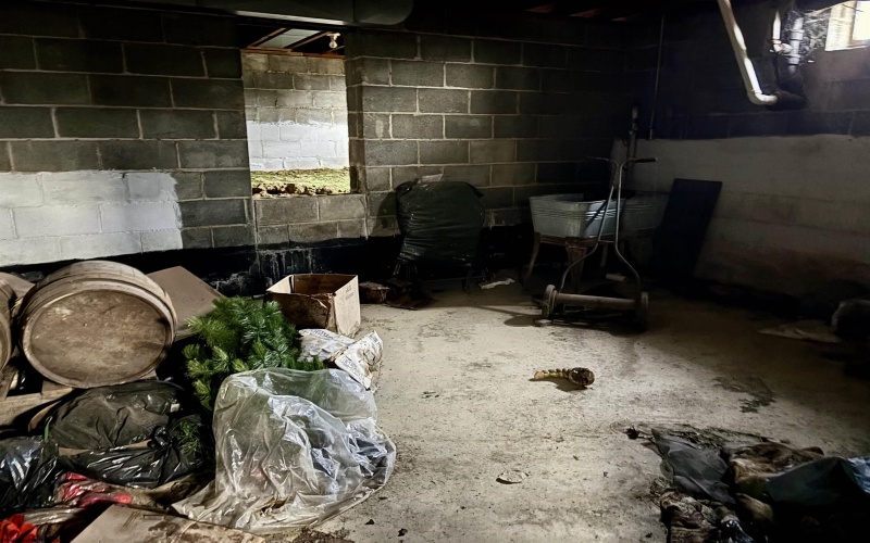 38 Koons Run Road, Fairmont, West Virginia 26554, 3 Bedrooms Bedrooms, 6 Rooms Rooms,1 BathroomBathrooms,Single Family Detached,For Sale,Koons Run,10163408 38 Koons Run Road, Fairmont, West Virginia 26554, 3 Bedrooms Bedrooms, 6 Rooms Rooms,1 BathroomBathrooms,Single Family Detached,For Sale,Koons Run,10163408