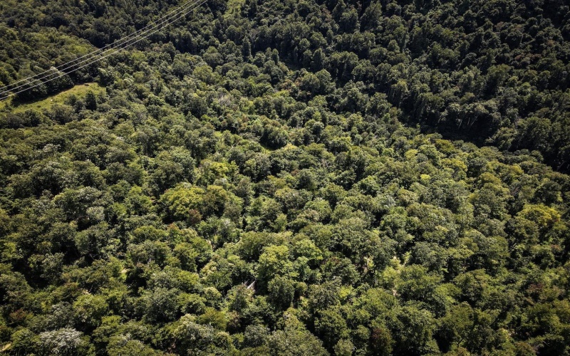 TBD Long Run Road, Worthington, West Virginia 26591, ,Lots/land,For Sale,Long Run,10161428 TBD Long Run Road, Worthington, West Virginia 26591, ,Lots/land,For Sale,Long Run,10161428