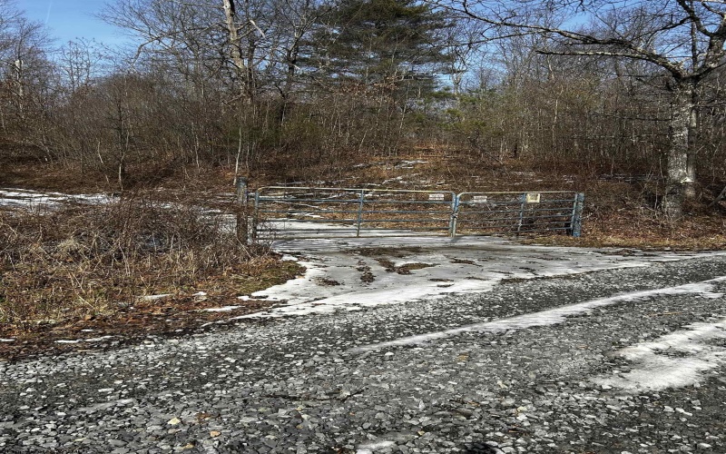 92 Coyote Lane, Belington, West Virginia 26250, ,Lots/land,For Sale,Coyote,10163412