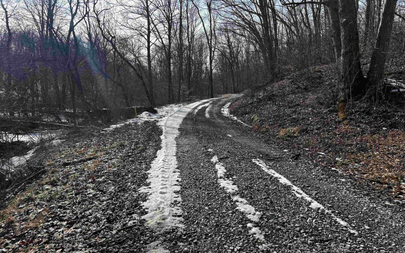 92 Coyote Lane, Belington, West Virginia 26250, ,Lots/land,For Sale,Coyote,10163412