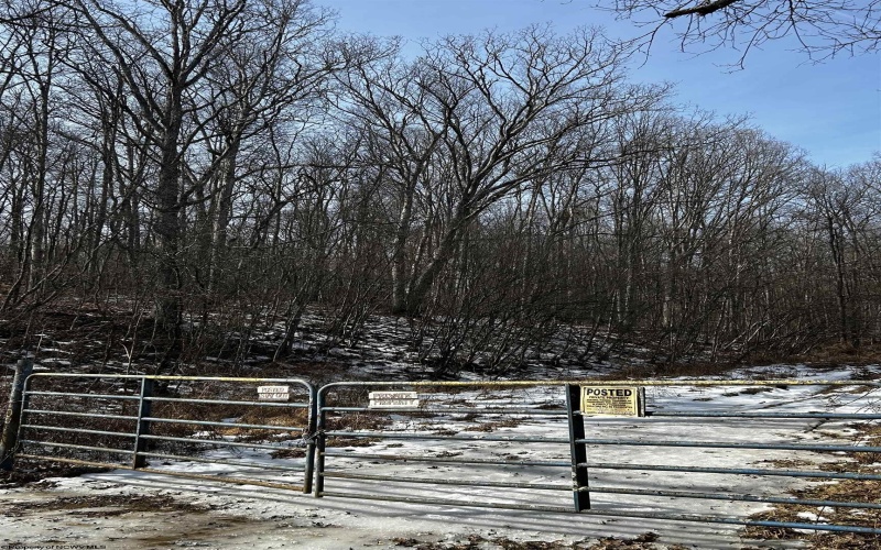 92 Coyote Lane, Belington, West Virginia 26250, ,Lots/land,For Sale,Coyote,10163412