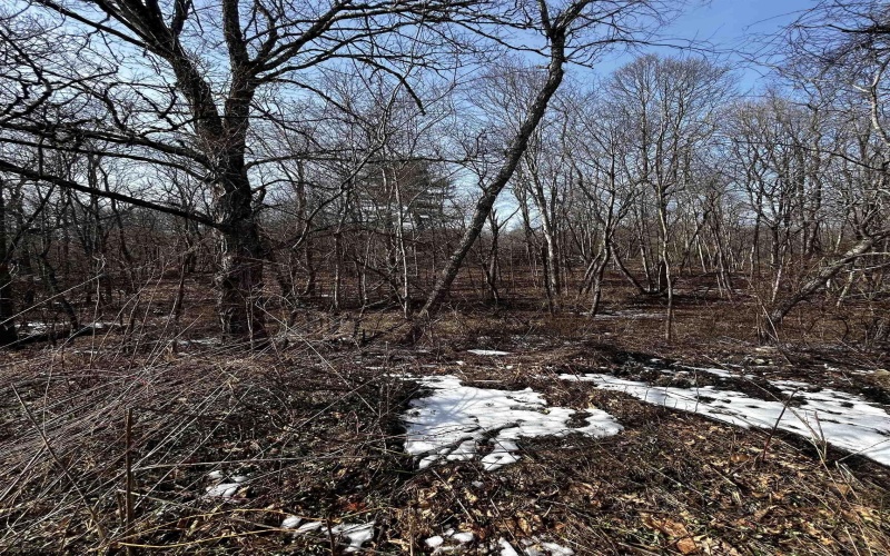 92 Coyote Lane, Belington, West Virginia 26250, ,Lots/land,For Sale,Coyote,10163412