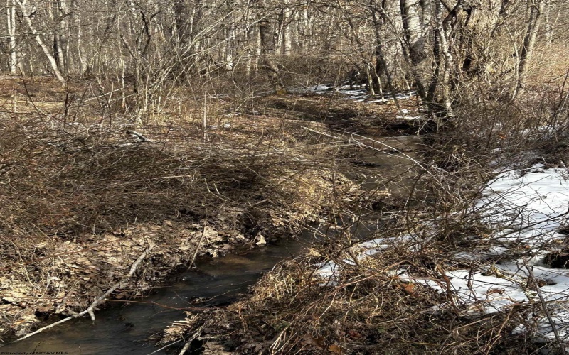 92 Coyote Lane, Belington, West Virginia 26250, ,Lots/land,For Sale,Coyote,10163412