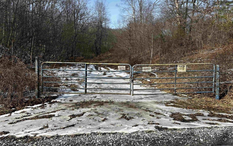 92 Coyote Lane, Belington, West Virginia 26250, ,Lots/land,For Sale,Coyote,10163412