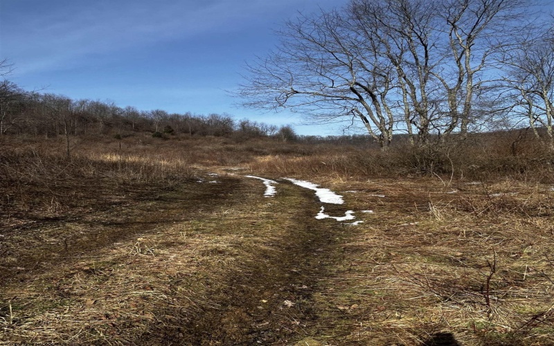 92 Coyote Lane, Belington, West Virginia 26250, ,Lots/land,For Sale,Coyote,10163412