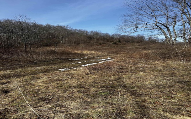 92 Coyote Lane, Belington, West Virginia 26250, ,Lots/land,For Sale,Coyote,10163412