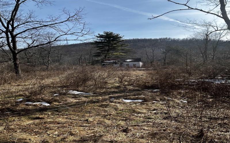 92 Coyote Lane, Belington, West Virginia 26250, ,Lots/land,For Sale,Coyote,10163412